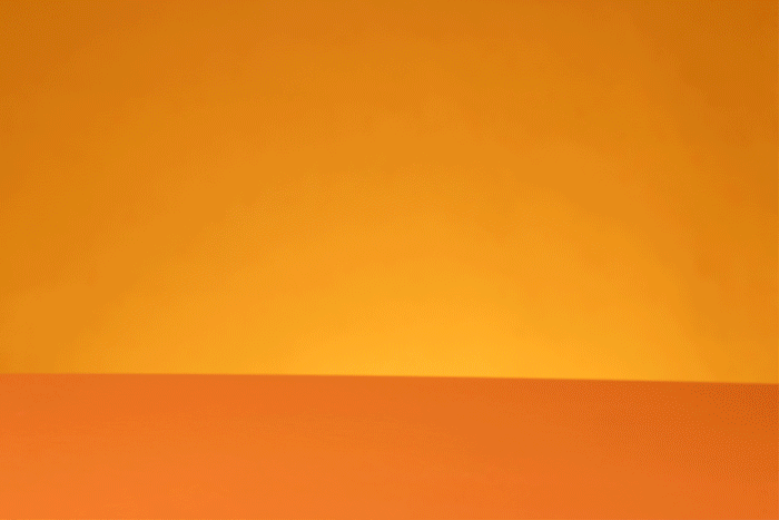 gif.gif